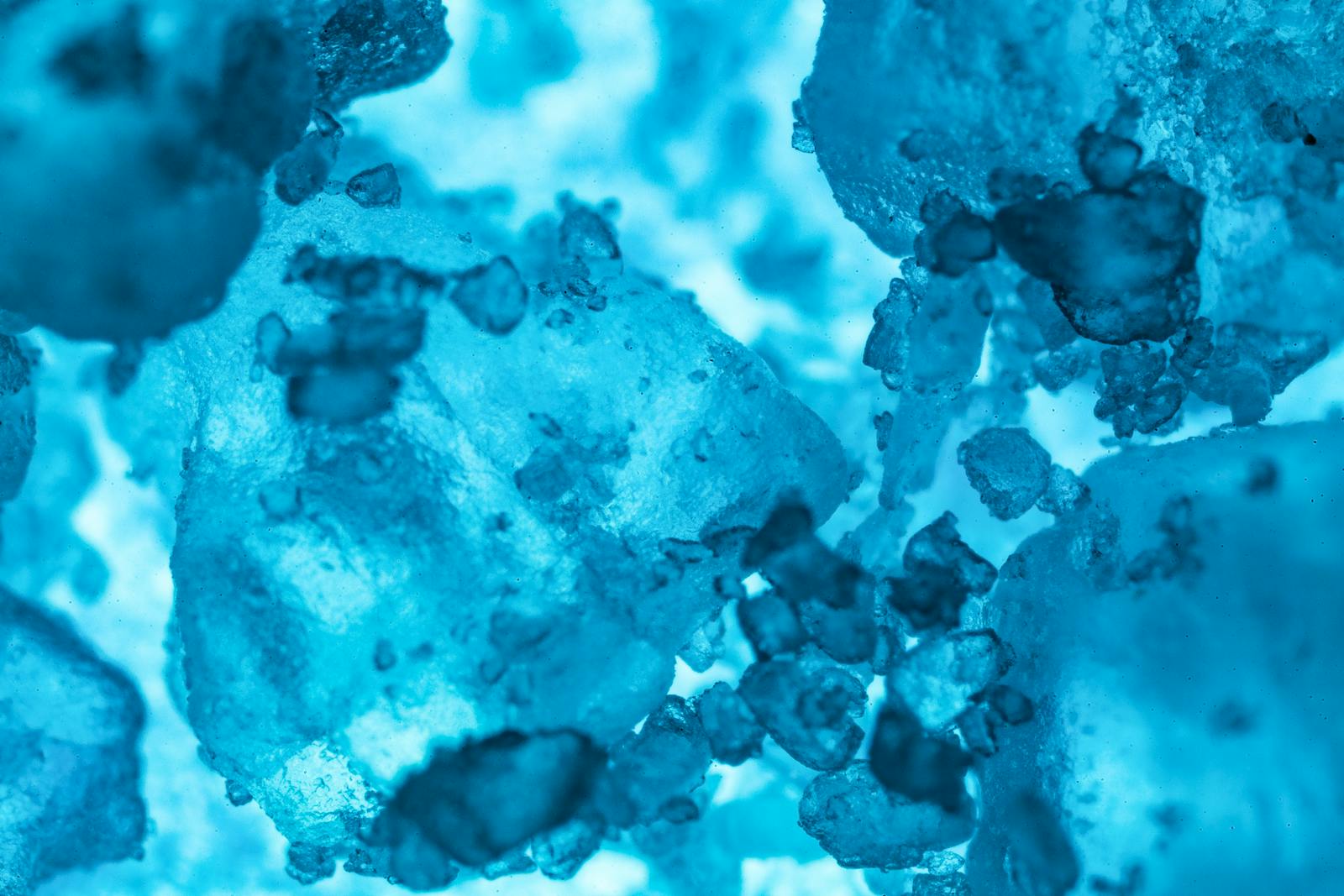 Magnesium malate vs citrate: which form actually works for what